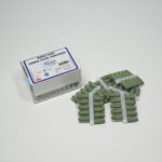 Nano Dent – Jumbo Total Parlatma Lastiği (Yeşil) (100 Adet)